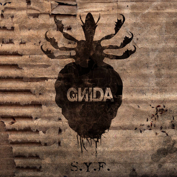 Gnida