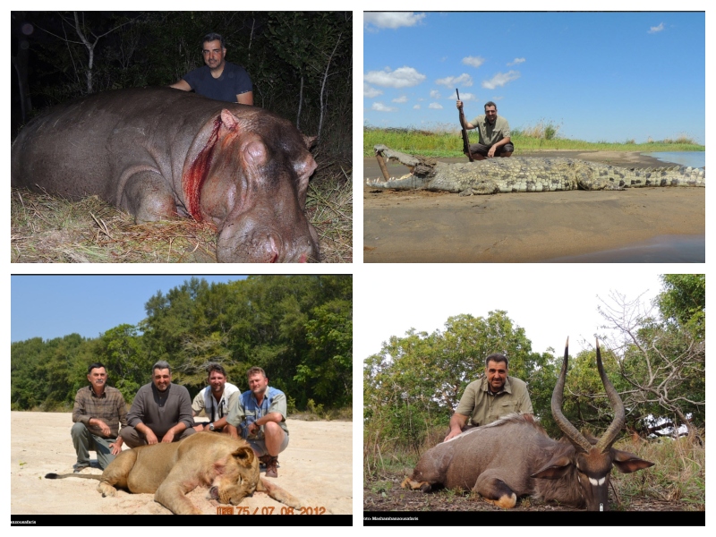 Vidošević - lovske trofeje