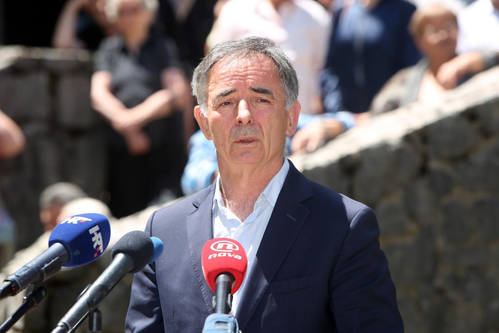 Milorad Pupovac Vir:Pixell