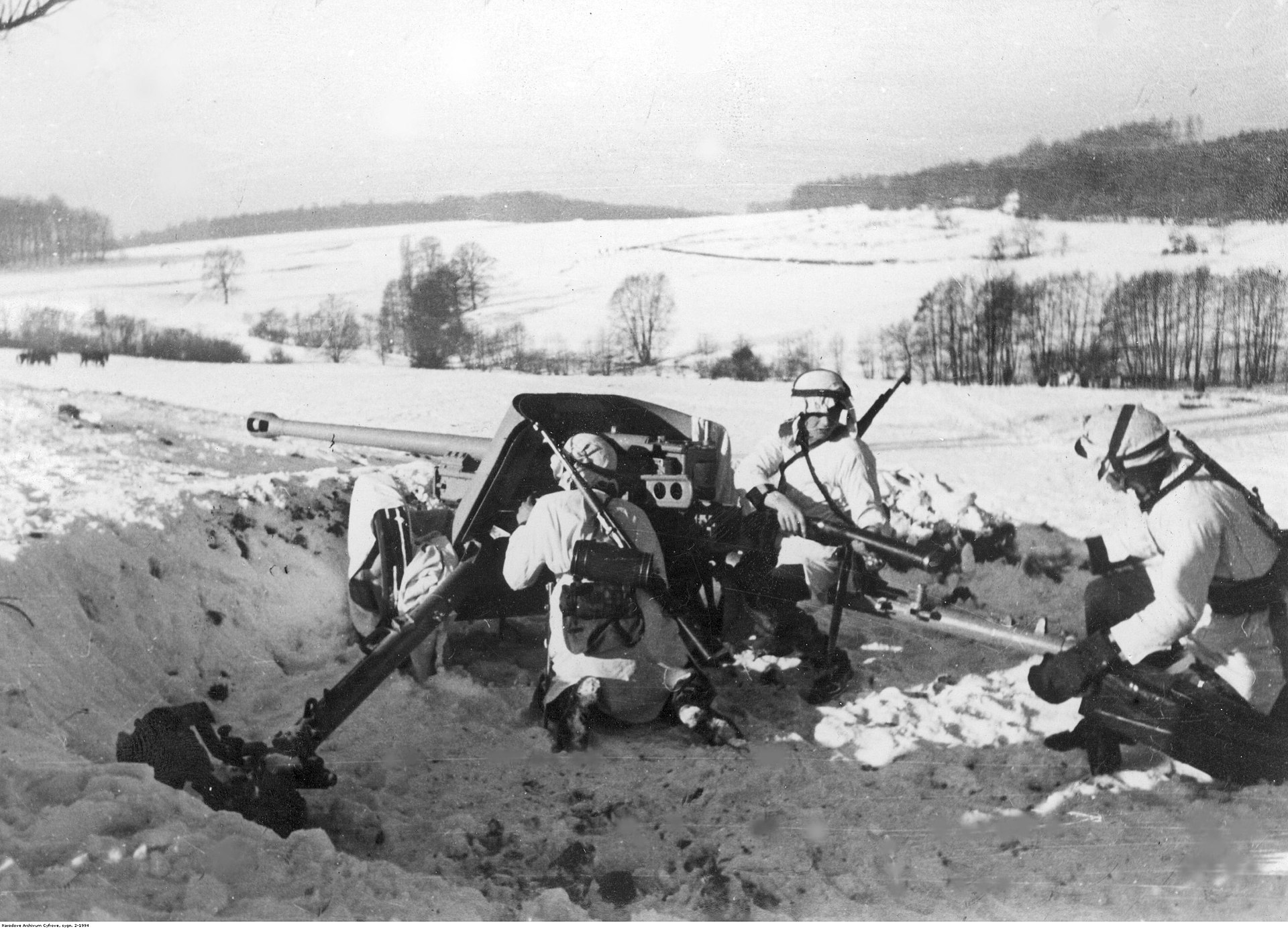 Vojaki SS Galicije z PAK 38, 50 mm topom  Vir: Wikipedia, posnetek zaslona