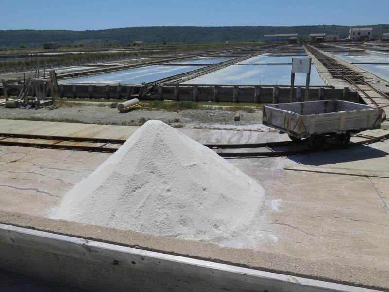 V Sečoveljskih solinah trenutno pridelajo dobrih 50 ton soli dnevno