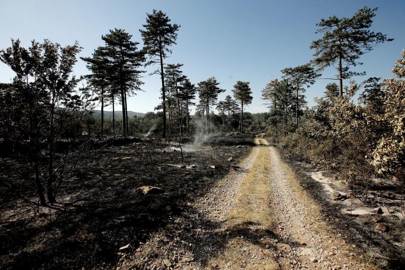 Na požarišču pri Divači prekinili požarno stražo, občasno še obhodi