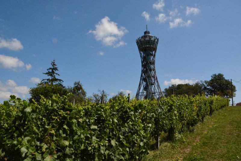 Razgledni stolp Vinarium Lendava gostil dvestotisočega obiskovalca