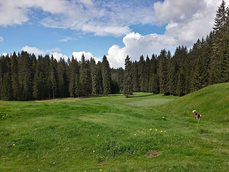Pokljuka mesec dni pred tekmo čaka sneg