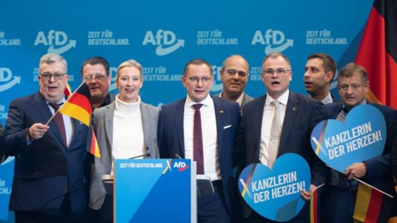 Nemška AfD sprejela predvolilni program: Zavračamo evro in protiruske sankcije