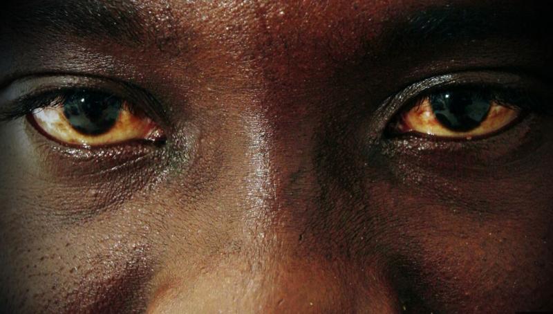 Trumpu se cedijo sline tudi po Afriki: Združene države bi se rade vrnile v Sahel