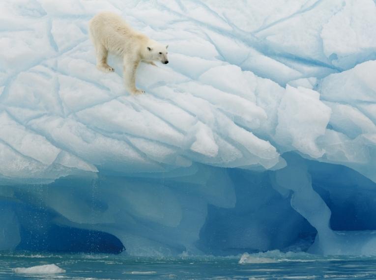 Vročinski val na Arktiki bi lahko danes podrl vse rekorde