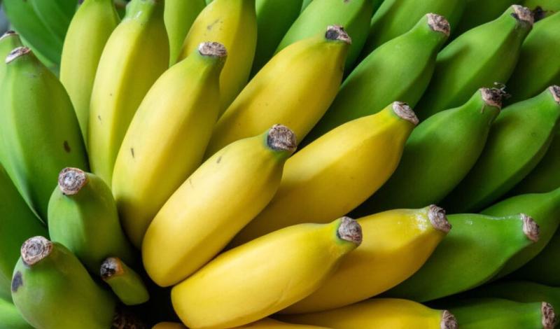 Ali so banane bolj strašne od Rusov: Švedska ministrica ima še eno fobijo
