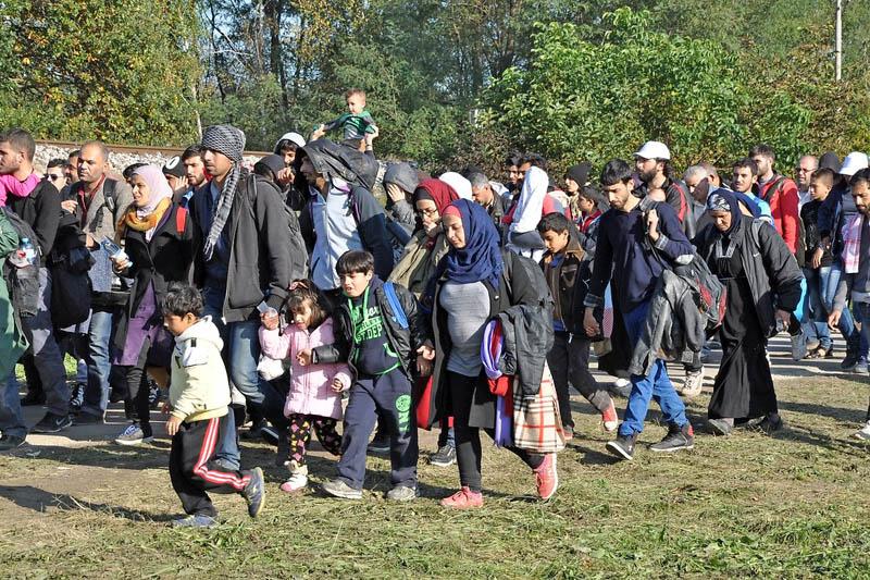 Države EU lani odobrile zaščito več kot 700.000 prosilcem za azil