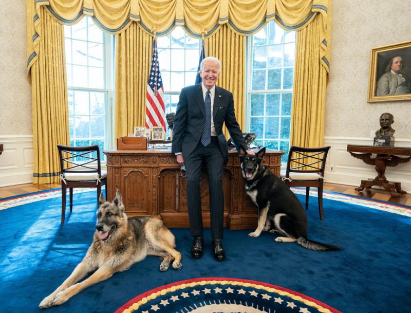 Joe in Jill Biden žalujeta: Zapustil ju je Champ