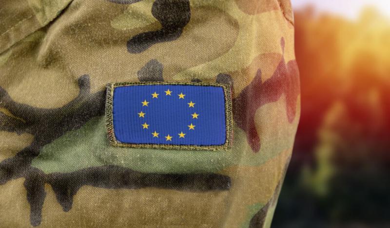 Ocena evropskega komisarja: Koliko vojakov potrebuje EU, da ne bo več »bonsai armada«