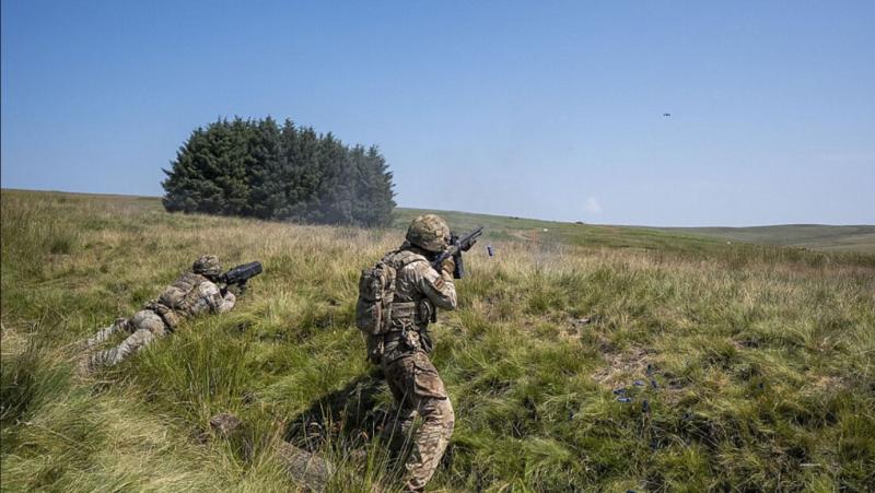 Bundeswehr proti dronom: Po milijardah za vojsko, odrešitev v - šibrovki