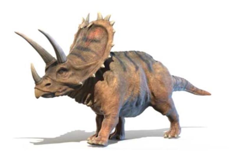 Nepričakovano odkritje: Dinozavri z rogovi so sčasoma postali manj inteligentni