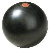 Tekmovalec v suvanju krogle v Pragi zadel sodnika, ki je nato umrl