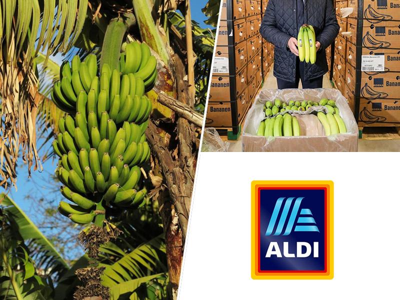 »Banana republika« Ekvador nad nemški Aldi zaradi dampinga cen - banan