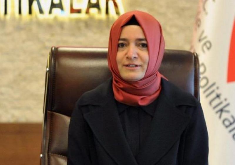 Zaradi referendumske kampanje Turčija v sporu tudi z Nizozemsko, z Nemčijo se spor krepi