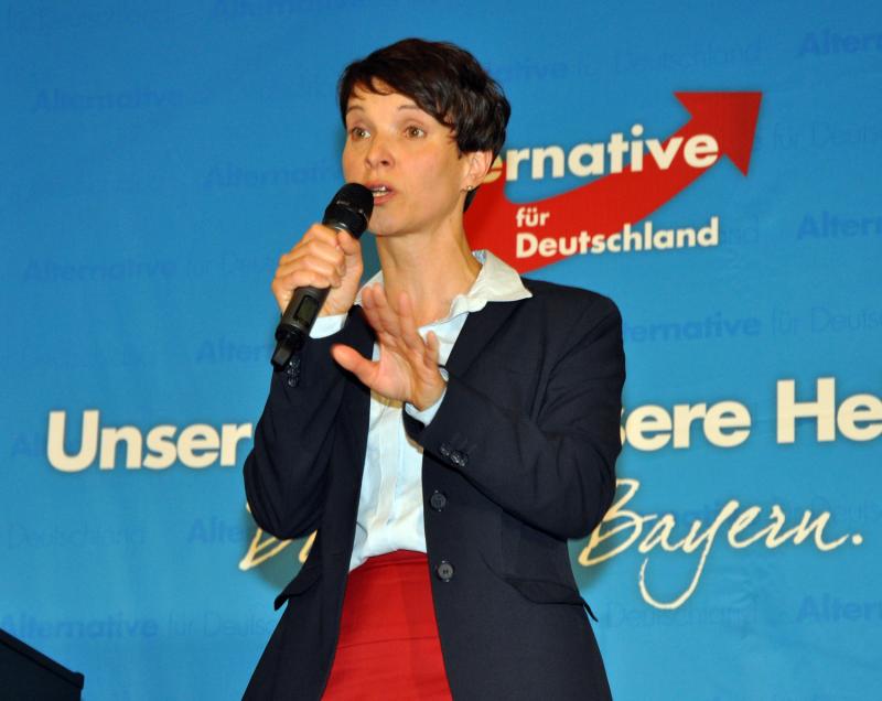 Vodstvo nemške AfD za izključitev Höckeja iz stranke