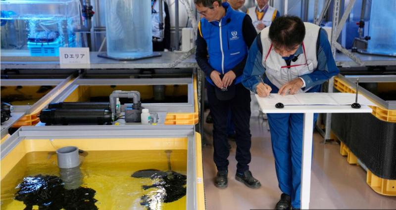 Pri Fukušimi ujeli ribe z visoko vsebnostjo radioaktivnega cezija! EU pa odpravlja omejitve za uvoz rib iz Japonske!?