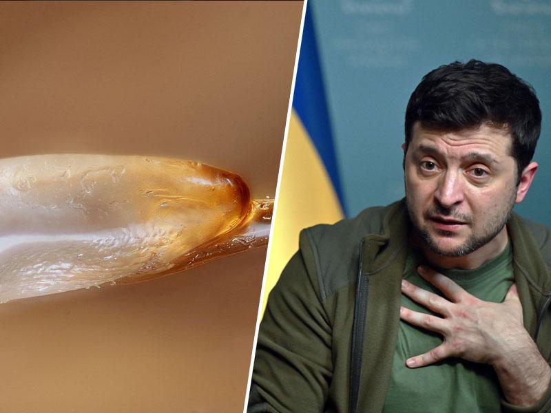 Beloruski predsednik: Zelenski je zgolj  »gnida«