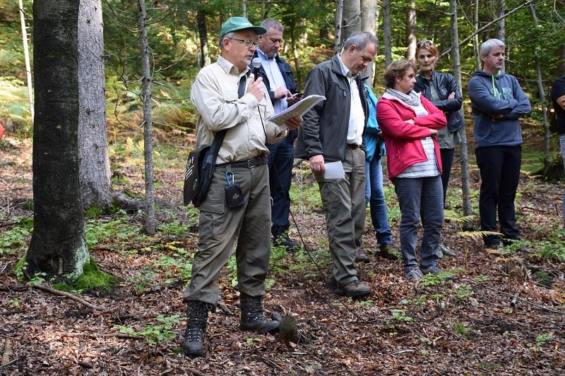 Švedski gozdarji spoznavali pristope slovenskih