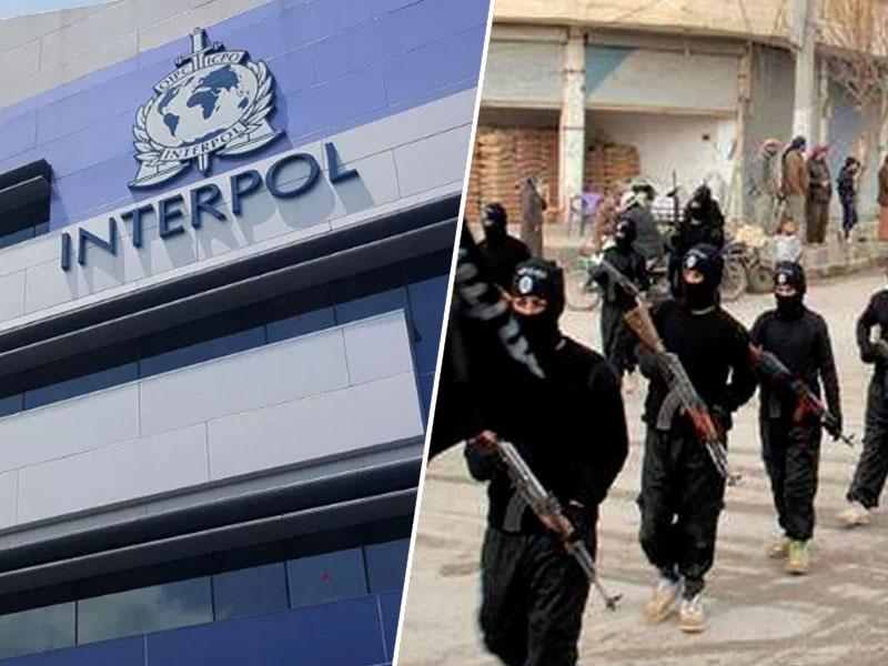 Interpol opozarja na 173 samomorilskih napadalcev v Evropi