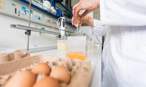 Nemčija sprožila uradno preiskavo glede oporečnih jajc