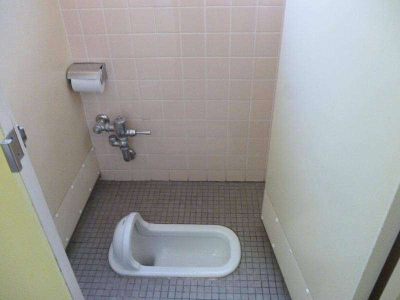 Japonci si prizadevajo odpraviti 