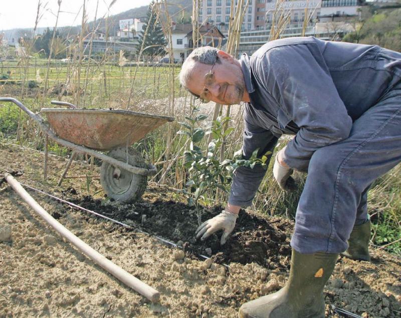 Buje: Jorasu zasuli jarek v skladu s hrvaškimi predpisi