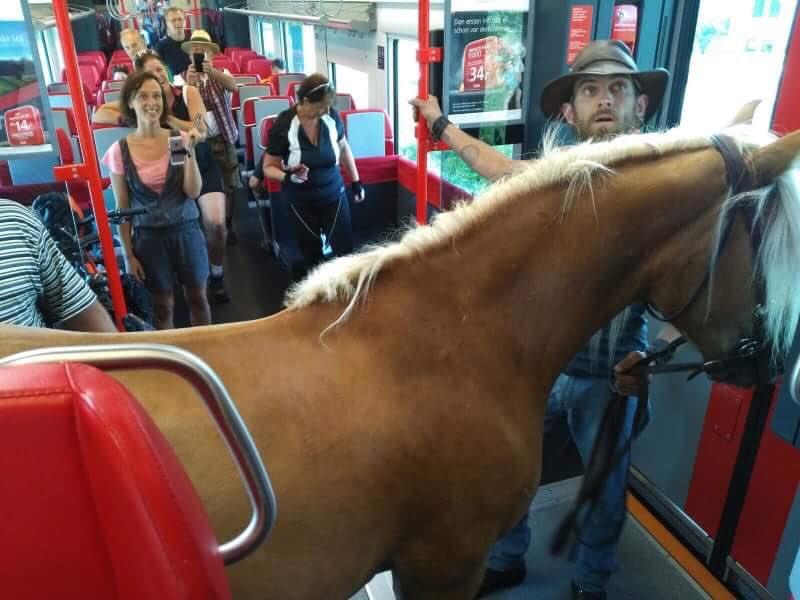 V Avstriji moški na vlak kar s konjem