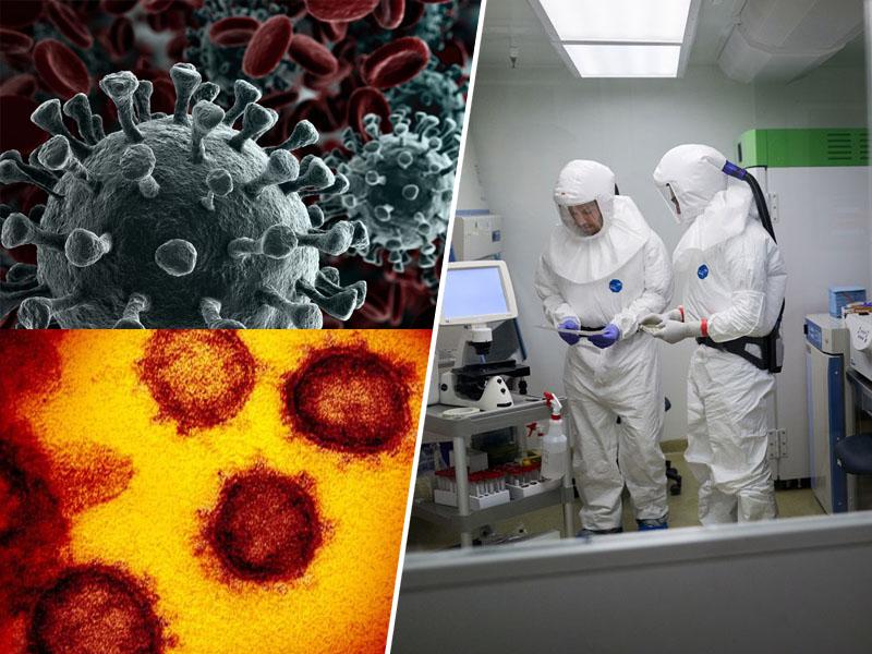 Novo odkritje: Patogeni koronavirus SARS-CoV-2 se je med ljudmi neopazno širil najmanj – desetletje