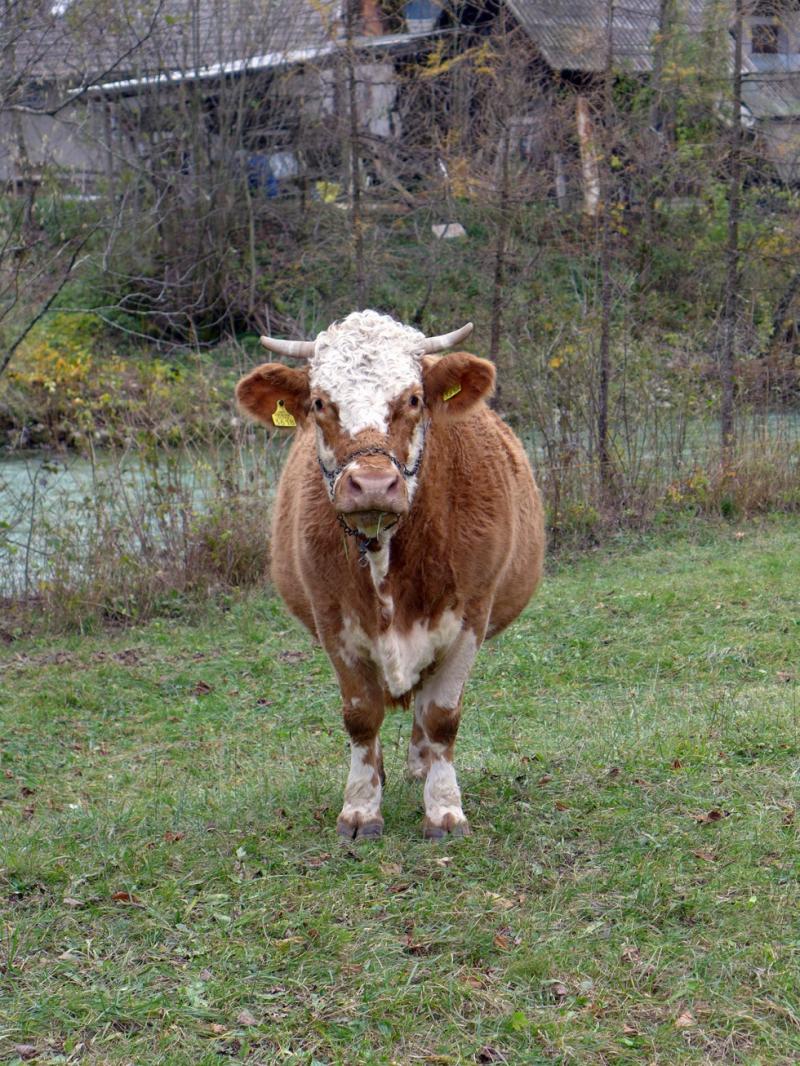 Židan: Cilj, da Slovenija ostane neto prejemnica, je povsem legitimen