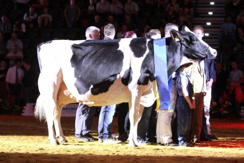 Lady Gaga pričakuje naraščaj