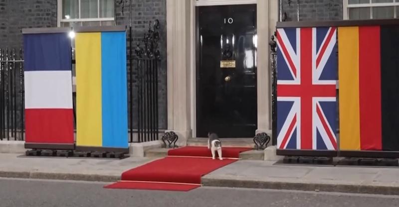 Macron, Merz in Zelenski v Londonu: Maček Larry zapustil sestanek (VIDEO)