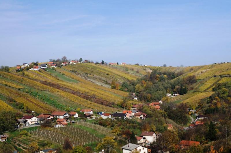 Lendavski vinogradniki proti odvozu odpadkov iz nenaseljenih objektov