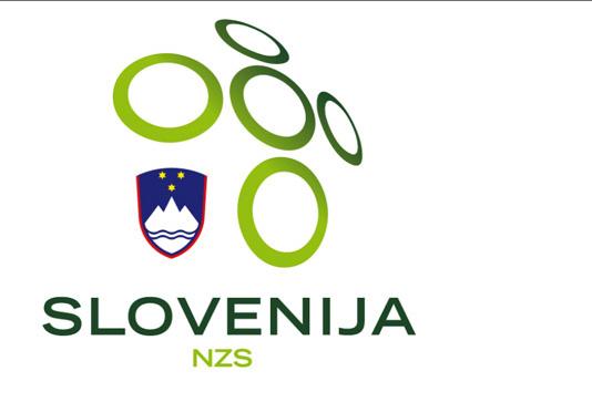 NZS načrtuje 13 milijonov evrov prihodkov, Glažar zadnji podpredsednik