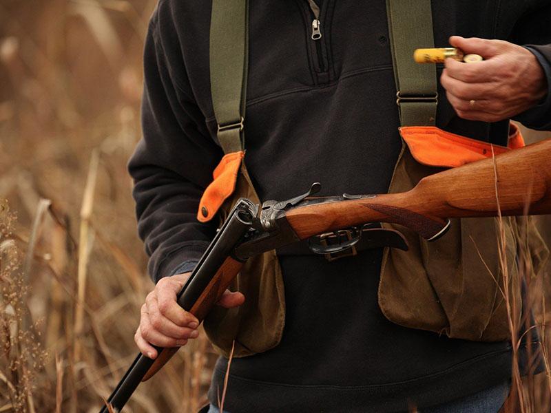 Kmetje in lovci: Zveri je na Primorskem preveč, potreben bi bil večji odstrel