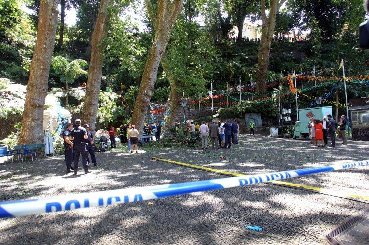 Na Madeiri drevo padlo na vernike: 11 mrtvih