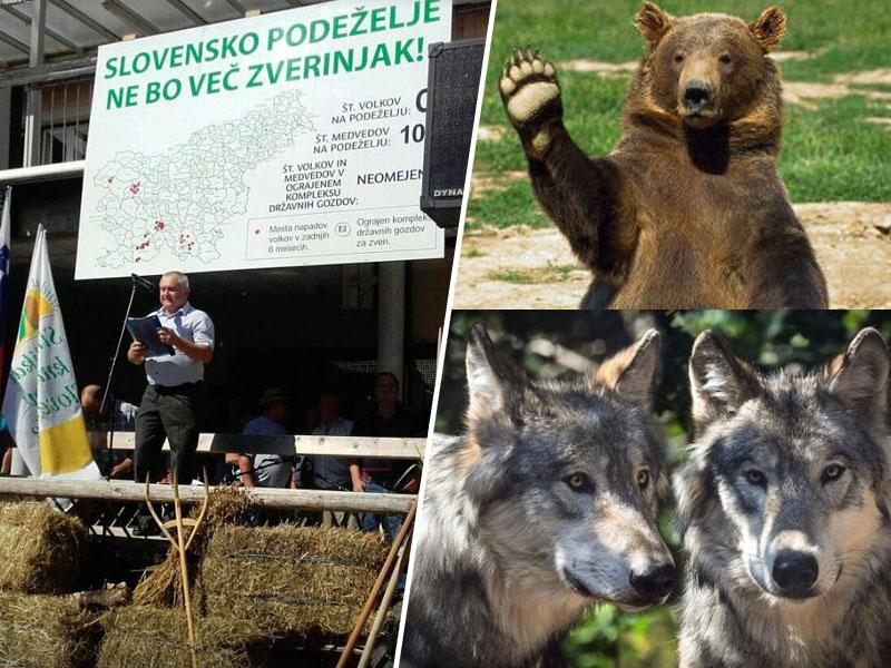 Slovenski politični zverinjak: Sivi volk grozi s požigom Medvedu, vsi se sprašujejo, če je ogrožen tudi Zajec?