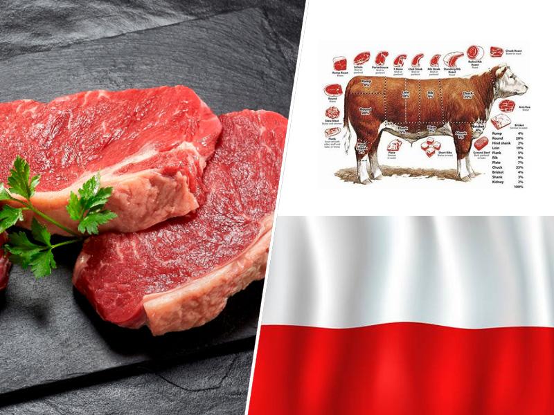 Poljska: novinarji razkrili klavnico, kjer so ilegalno klali obolelo govedo