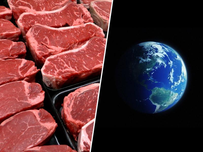 Za rešitev planeta le 14 g rdečega mesa na dan