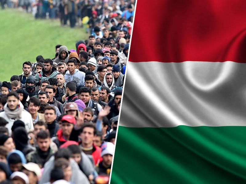 Kljub vsej retoriki, Madžarska sprejela več kot dva tisoč beguncev