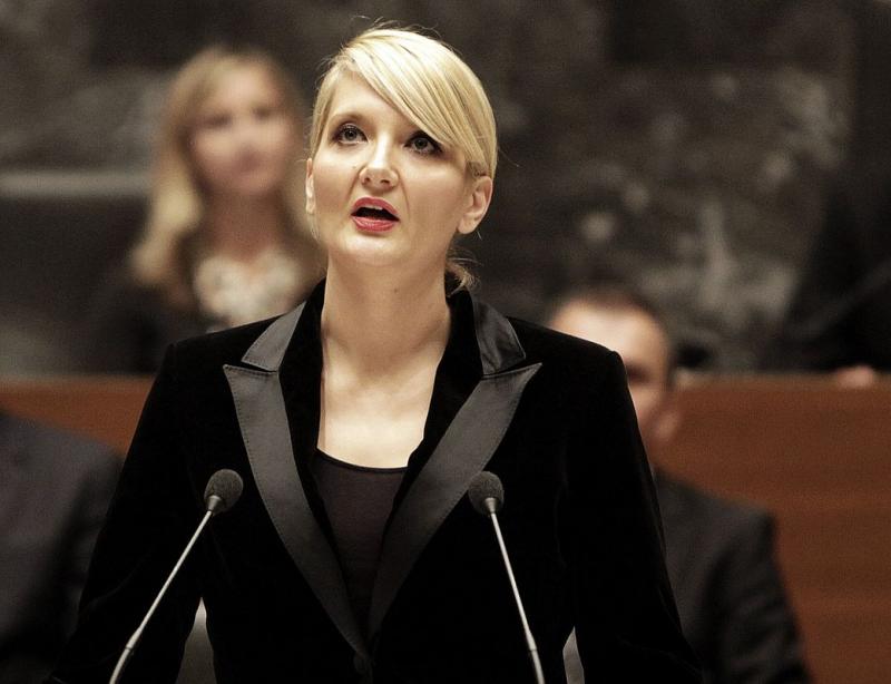 Györkös Žnidarjeva glede primera Šami: Slovenski politični prostor je verjetno izgubil kompas