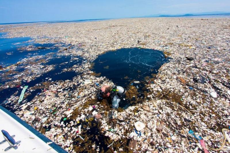 Evropska komisija in akvariji skupaj proti onesnaževanju s plastiko