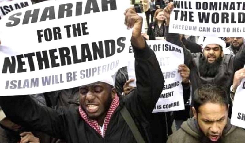 Na Nizozemskem do odločitve glede azila v osmih dneh