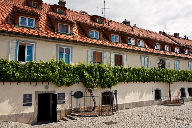 Maribor naredil na komisijo za izbor Evropskih mest športa dober vtis