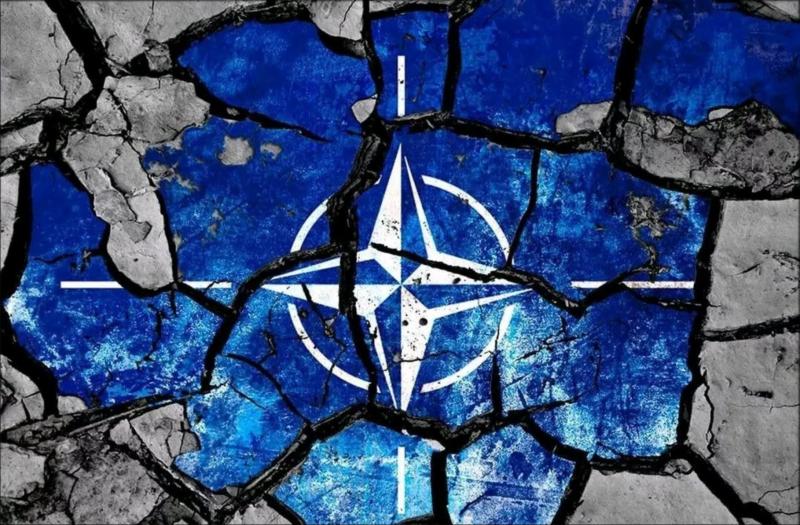 Polkovnik ameriške vojske: NATO bo čez leto dni začel razpadati zaradi Ukrajine