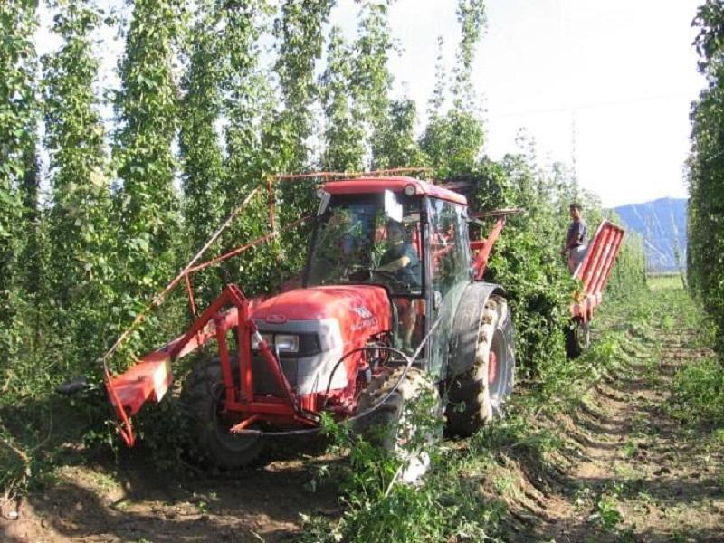 V kmetijstvu odslej možnost začasnega ali občasnega dela