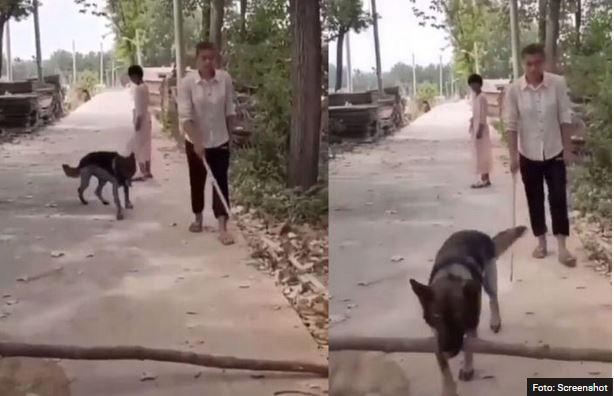 Zakaj je pes, ko je zagledal slepega človeka, umaknil vejo s poti?