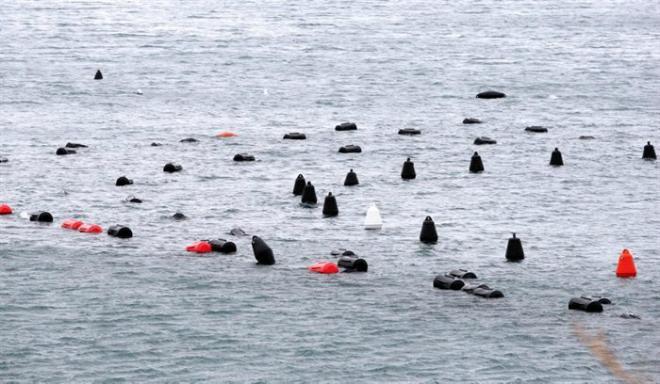 Nov incident v Piranskem zalivu: Hrvata poskušala v našem morju širiti školjčišče