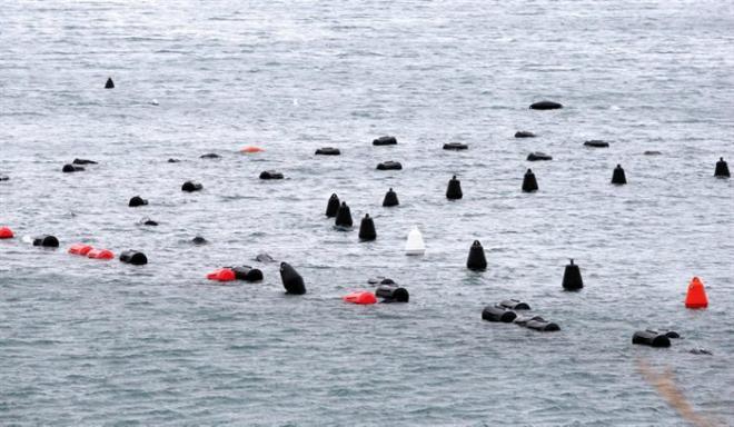 Nov incident v Piranskem zalivu: Hrvata poskušala v našem morju širiti školjčišče